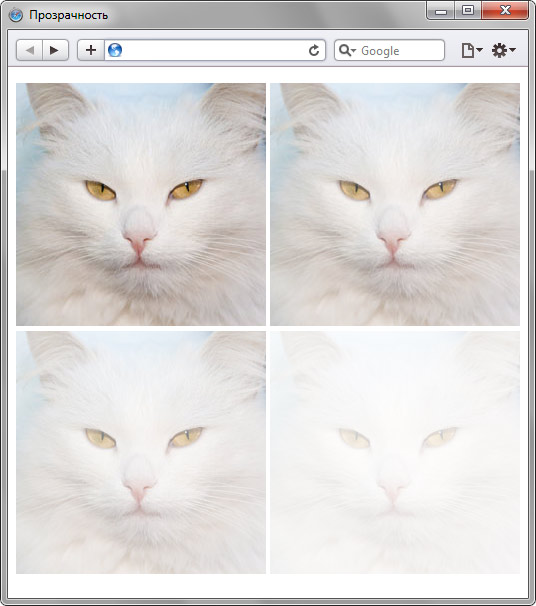 Фотография с различными значениями прозрачности