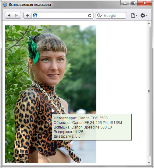 Всплывающая подсказка, выводимая с помощью JavaScript
