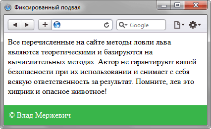 Подвал внизу страницы